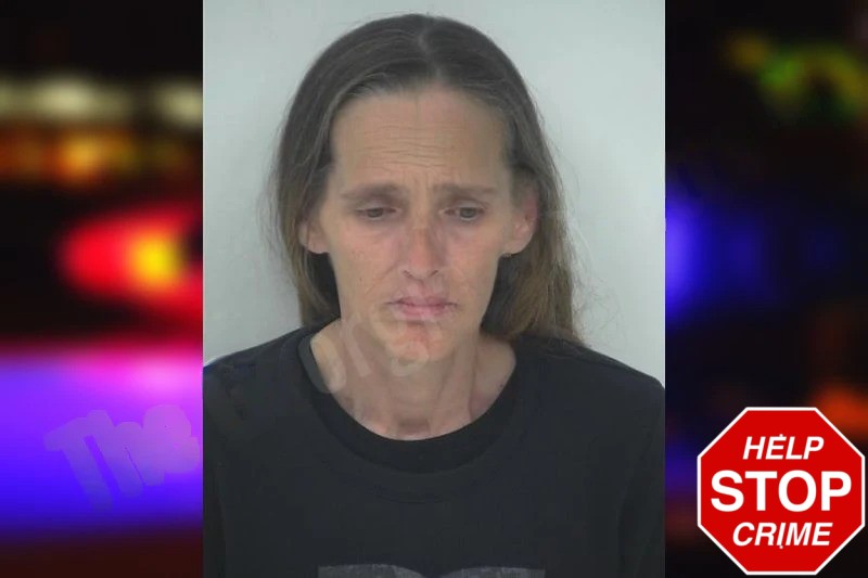 Tina Phillips mugshot – Fayette County , Georgia Tina Phillips mugshot