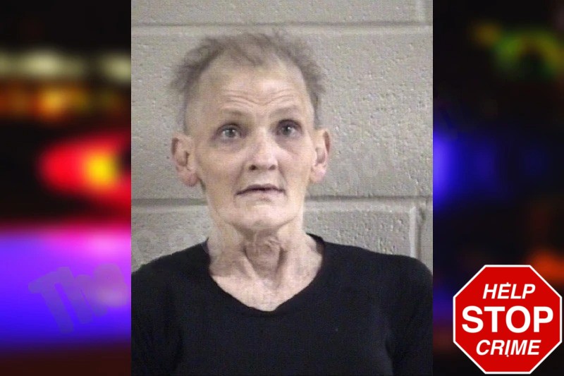 Tina Sampson mugshot