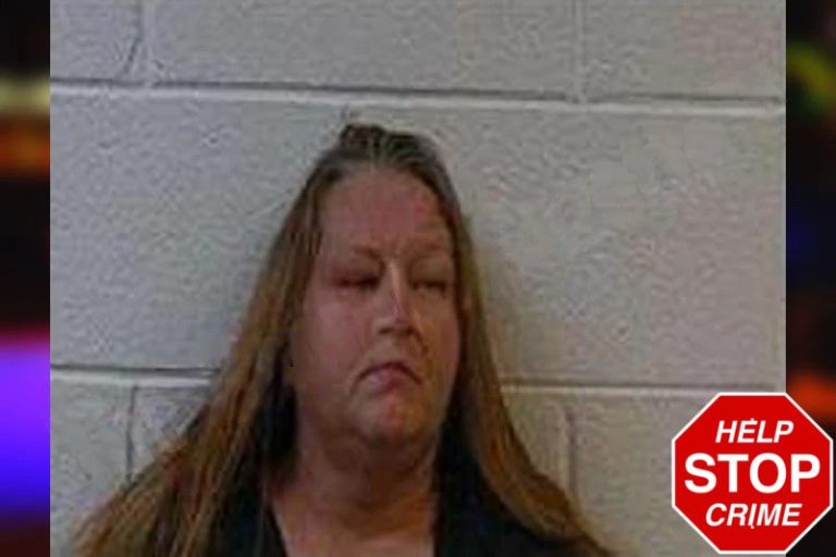 Tina Stroh mugshot – Polk County , Georgia Tina Stroh