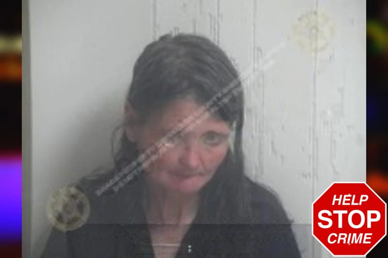 Tina Wright Mugshots