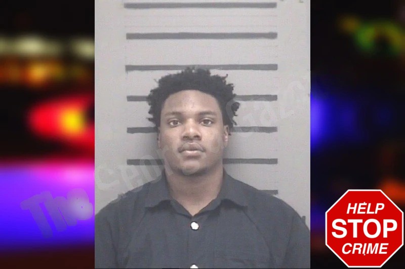 Tmarion Small Mugshots