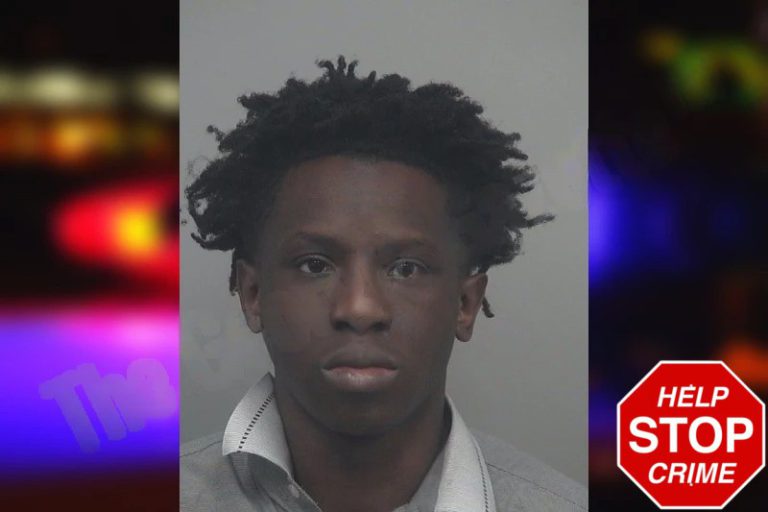 Tobias George mugshot – Gwinnett County , Georgia Tobias George