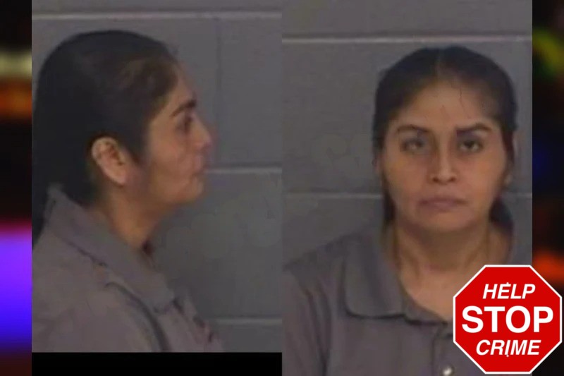 Tomasa Gerrardo Gallardo mugshot