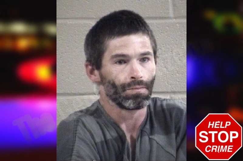 Tommy Brashier Mugshots