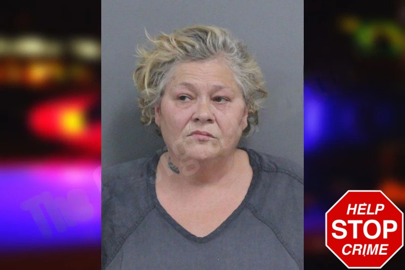 Tonya Mansel Mugshots