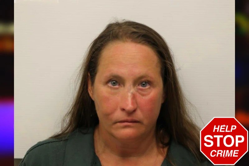 Tonya Rodriguez Mugshots