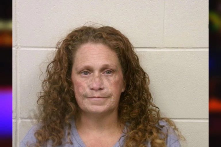 Tracey Martin mugshot β Bulloch County , Georgia Tracey Martin