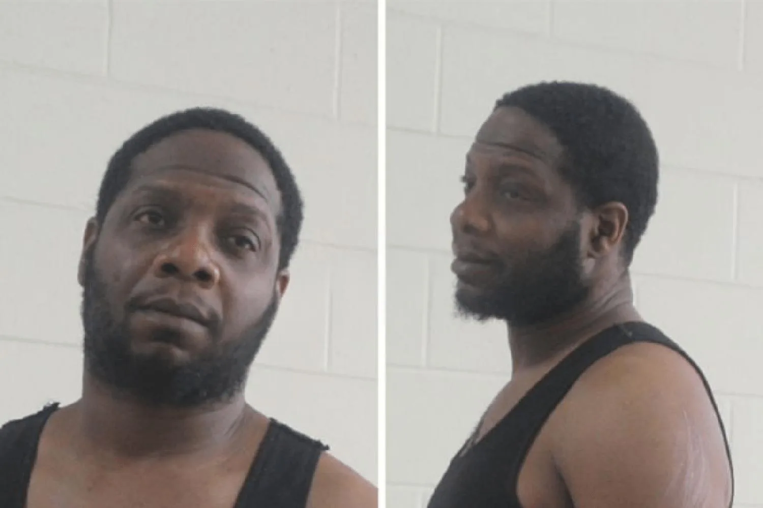 Tracey Plant Mugshots