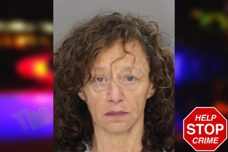 Tracey Roberts mugshot – Walker County , Georgia Tracey Roberts