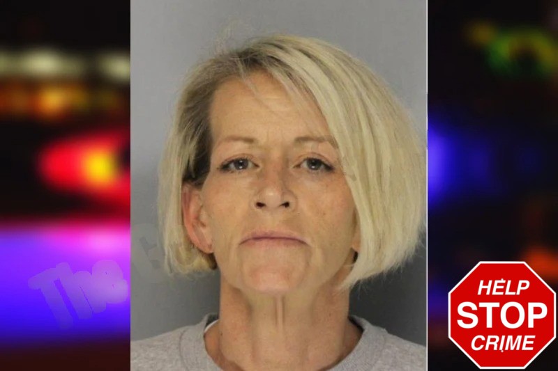 Tracie Palmour mugshot