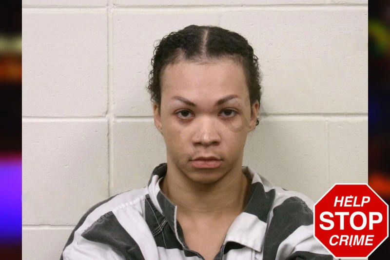 Tremaine Fryerson Mugshots