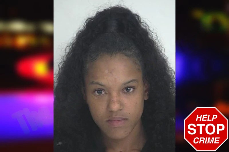 Trenity Bristow mugshot