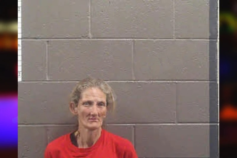 Trina Sosebee Mugshots