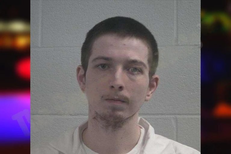 Tyler Jewell mugshot – McDuffie County , Georgia Tyler Jewell