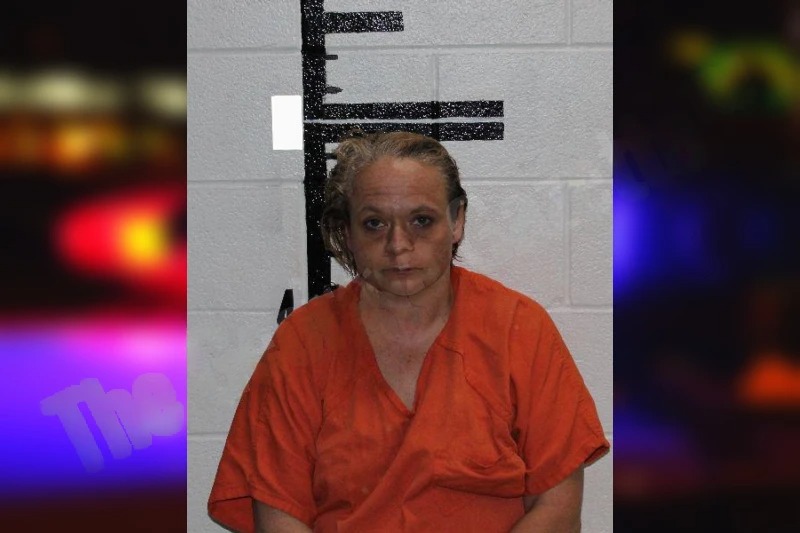 Unity Fields mugshot – Murray County , Georgia Unity Fields mugshot