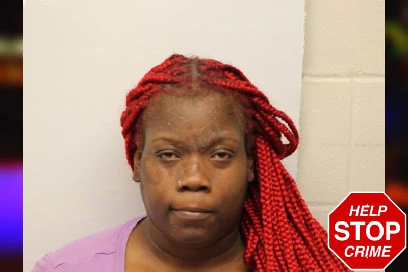 Vanessa Alston Mugshots