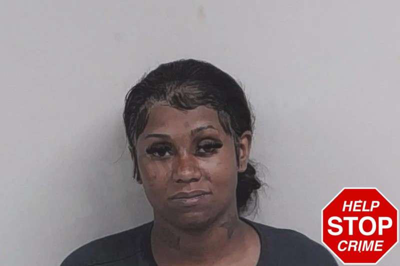 Vanessa Armour Mugshots
