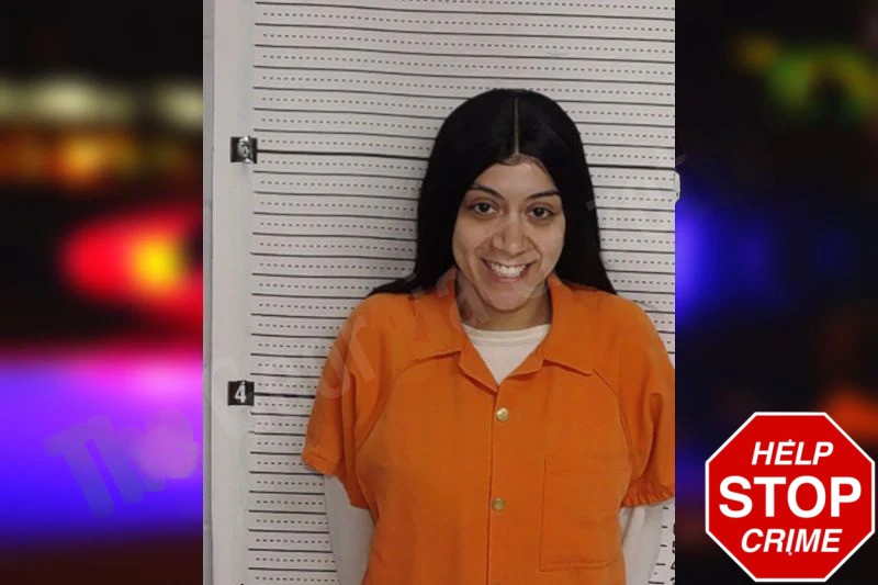 Vanessa Bridgeforth Mugshots