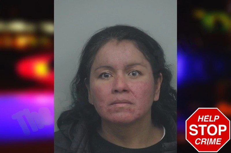 Vanessa Chanca Aguado Mugshots