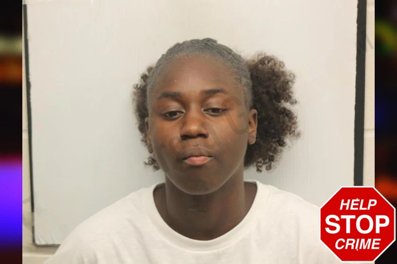 Vanessa Robinson Mugshots