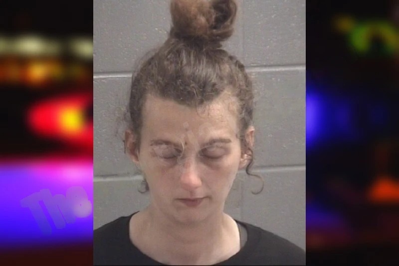 Vanessa Thompson Mugshots