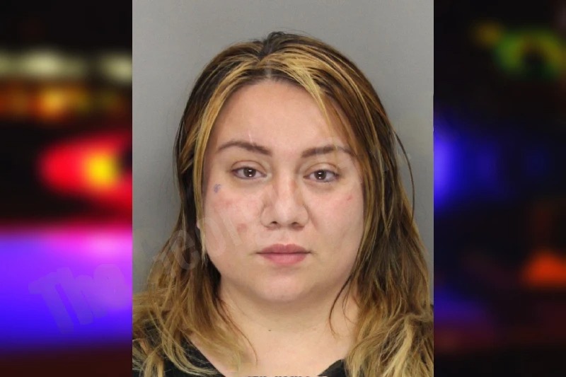 Veronica Hernandez mugshot