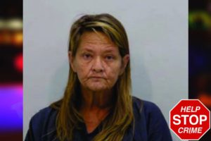Vickie Bolm mugshot