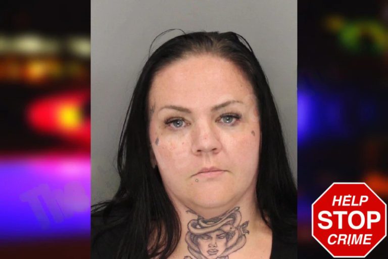 Victoria Baswell mugshot – Gwinnett County , Georgia Victoria Baswell