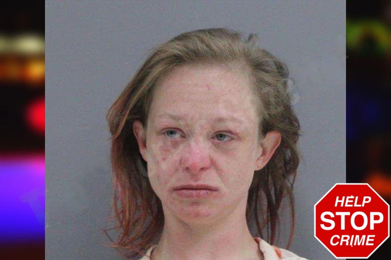 Victoria Chastain mugshot – Rabun County , Georgia Victoria Chastain mugshot