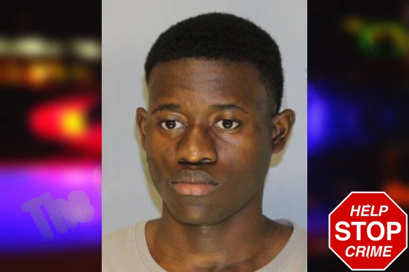 Vinson Pierre Mugshots