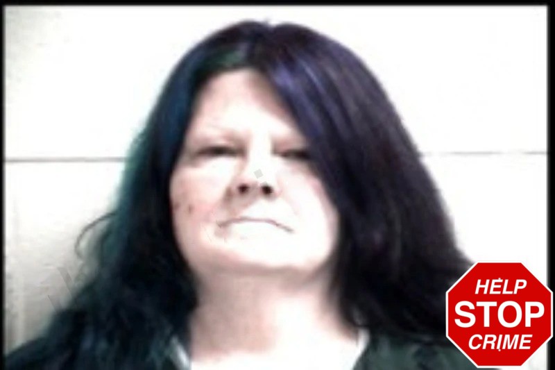 Virginia Bannister Mugshots