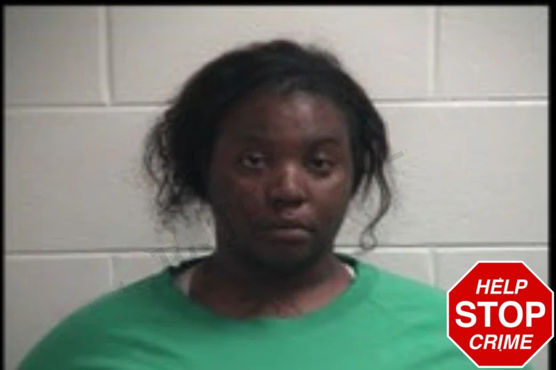 Virneshia Porter Mugshots