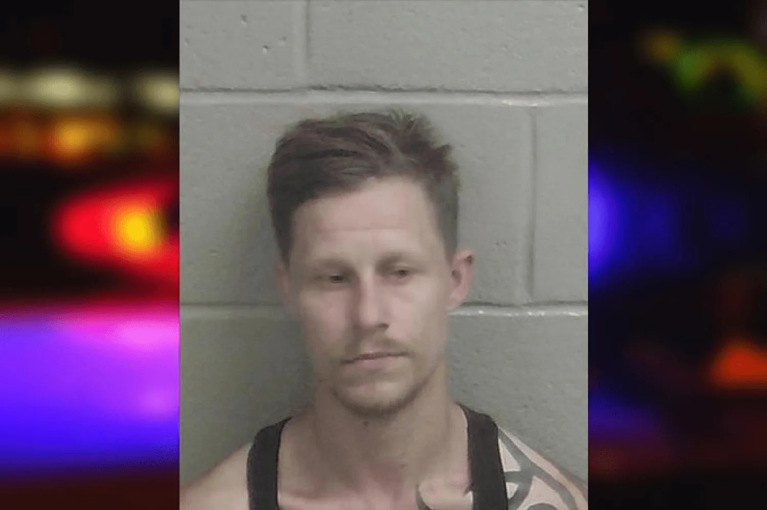 Vladimir Bedekovich Mugshots