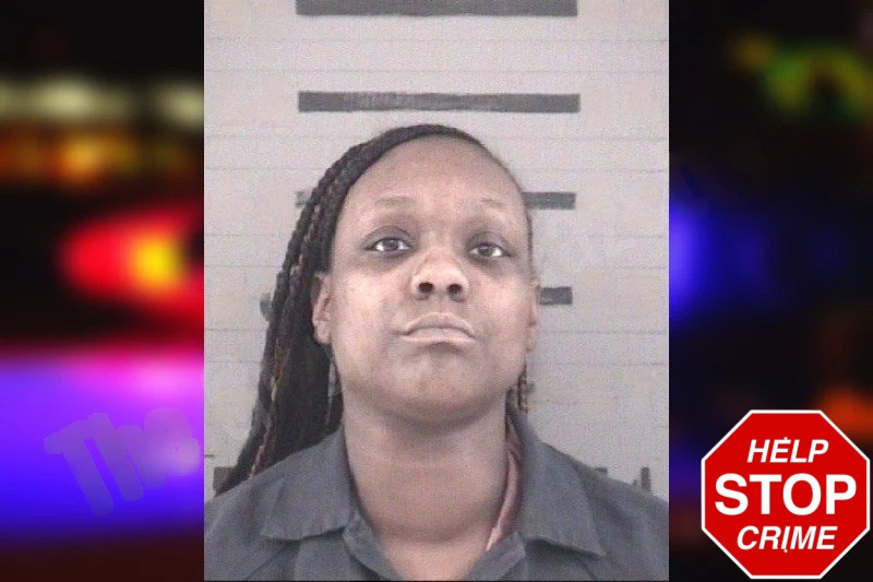 Vontressa Johnson mugshot – Dougherty County , Georgia Vontressa Johnson mugshot