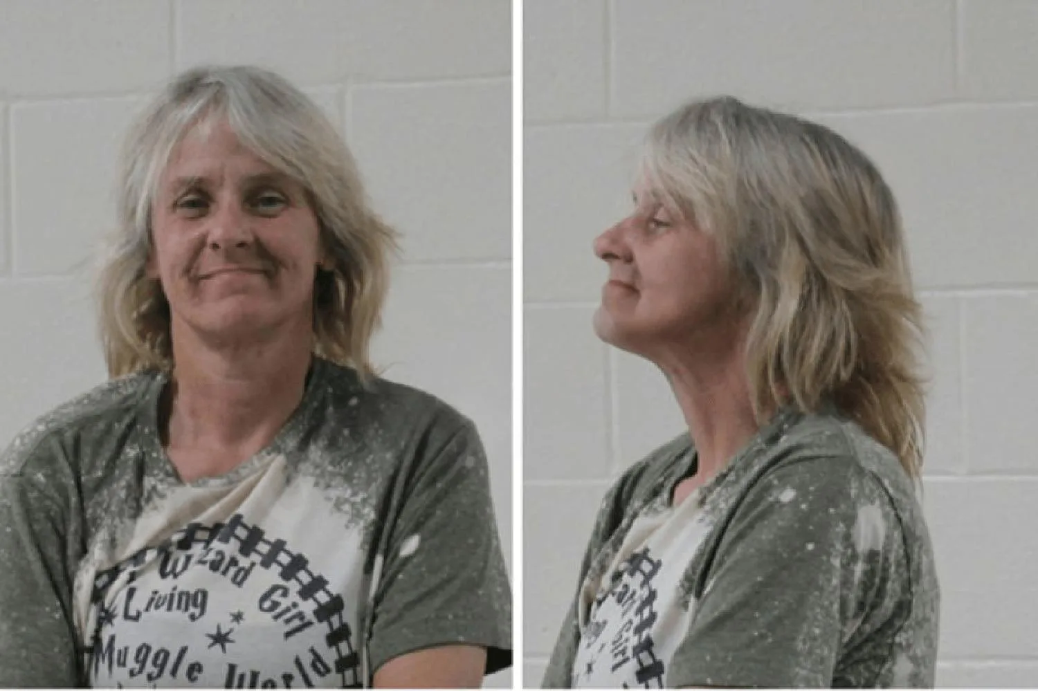 Wendy Gaines Mugshots