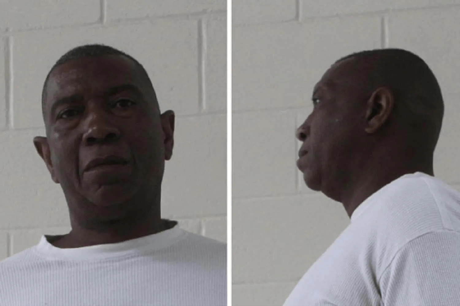 Wendy Roberts mugshot – Houston County , Georgia Wendy Roberts mugshot