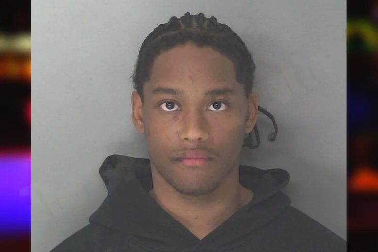 Wesley Chevannes mugshot β Douglas County , Georgia Wesley Chevannes