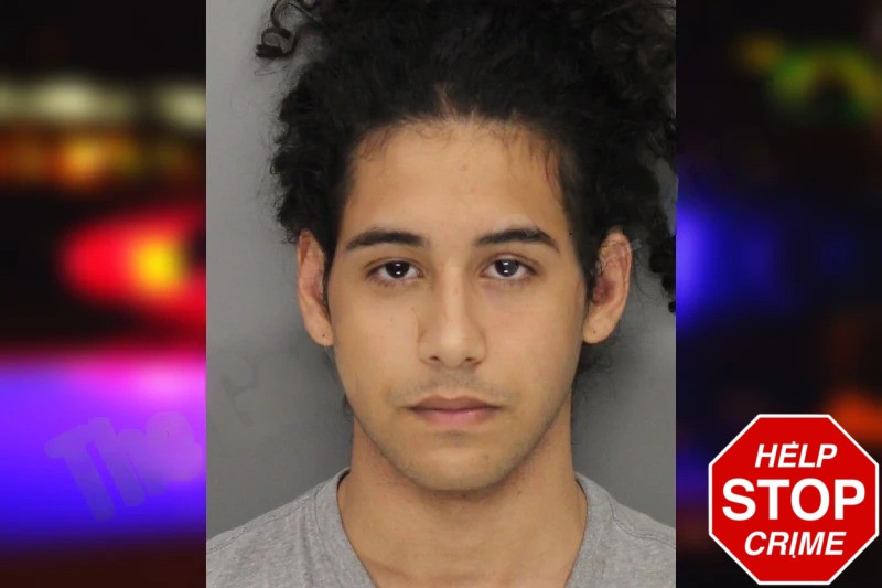 Wesley Santos mugshot