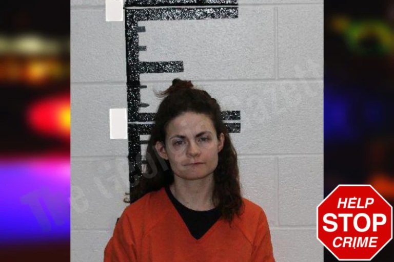 Whitney Cofino mugshot – Murray County , Georgia Whitney Cofino