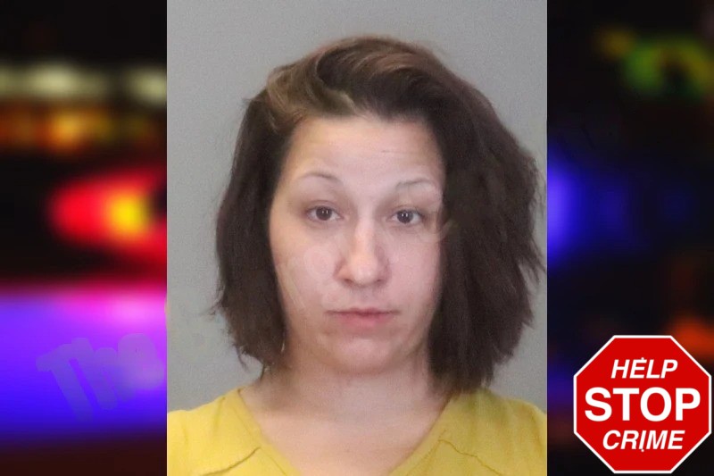 Whitney Elkins Mugshots