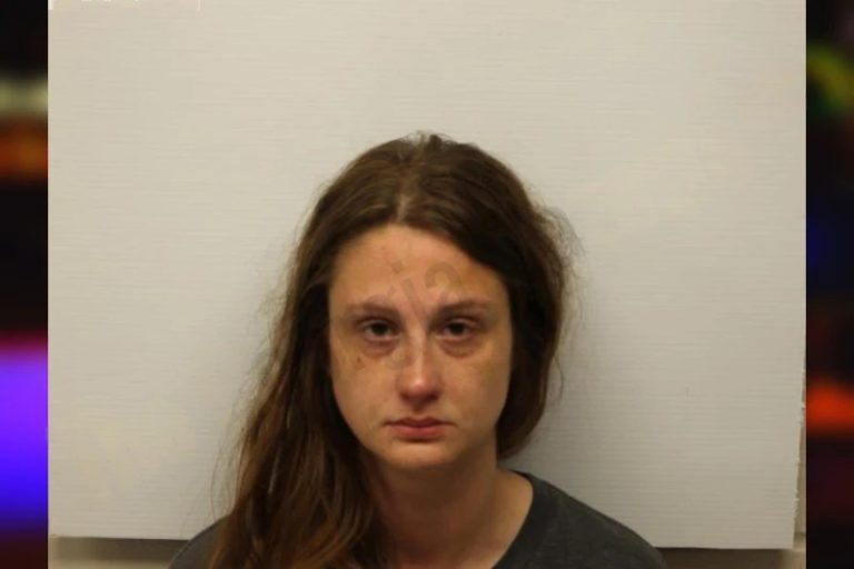 Whitney Law mugshot – Chatham County , Georgia Whitney Law