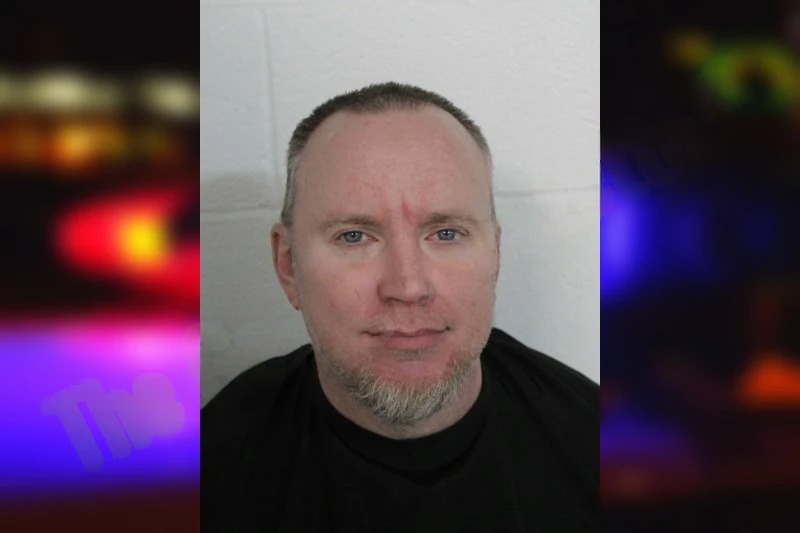 William Snipes Mugshots