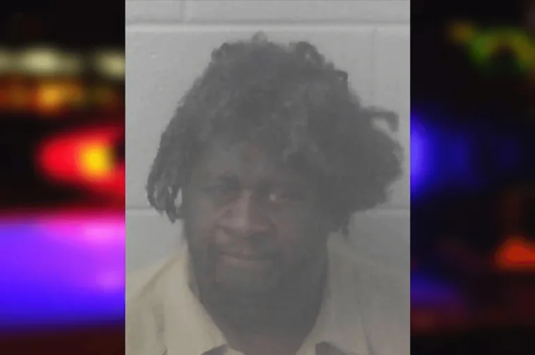 Willie Holland mugshot – Newton County , Georgia Willie Holland