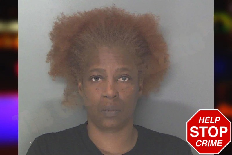 Wyomeka Ruffin Mugshots