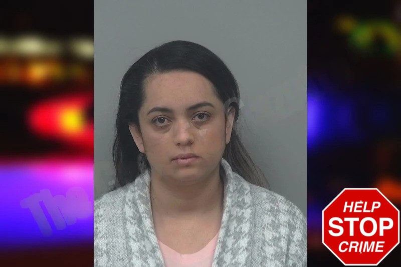 Yajaira Ortiz Toloza Mugshots