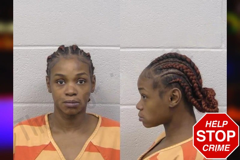 Yanika Clay Mugshots