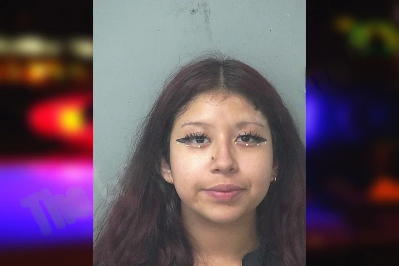 Yarissel Garcia Mugshots