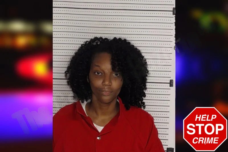 Yasmine McDowell mugshot