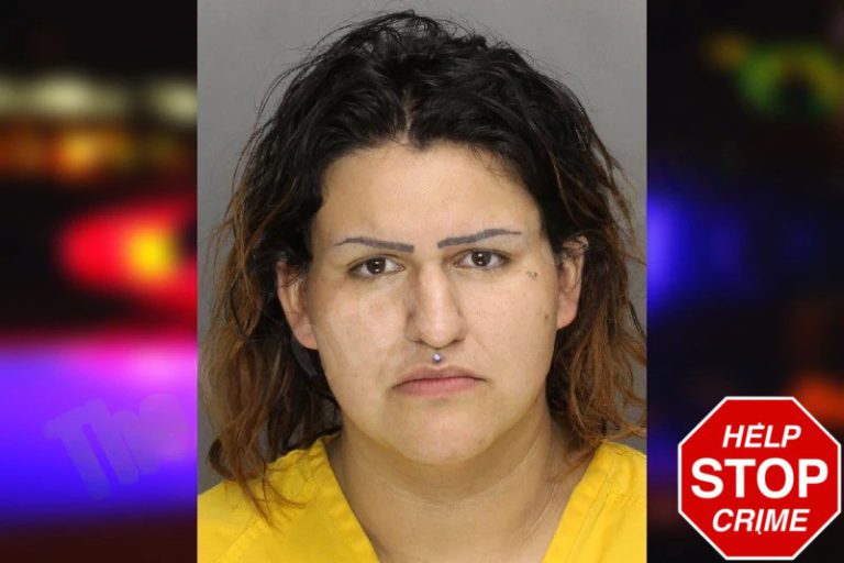Yazmin Gonzalez mugshot – Effingham County , Georgia Yazmin Gonzalez