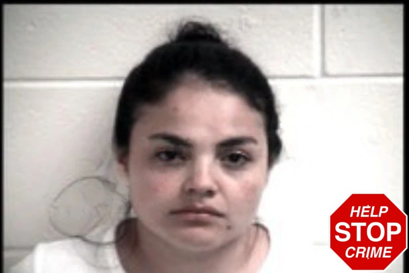 Yenifer Ramirez-Sanchez Mugshots